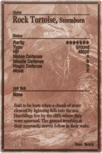 Rock Tortoise m card back.jpg