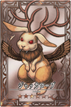 Jackalope m jp.jpg