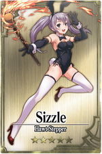 Sizzle card.jpg