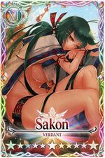 Sakon 11 card.jpg