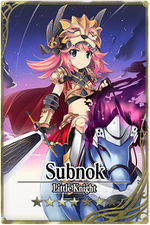 Subnok card.jpg