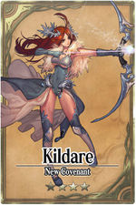 Kildare card.jpg