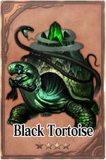 Black Tortoise m card.jpg