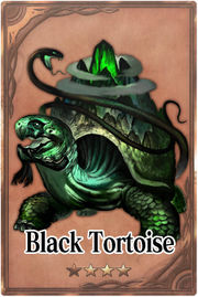 Black Tortoise m card.jpg