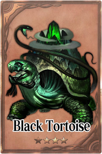 Black Tortoise m card.jpg