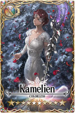 Kamelien=NAME