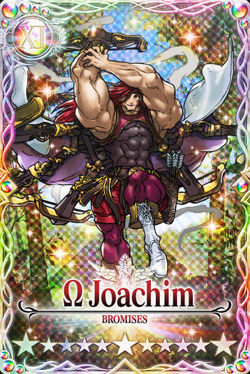 Joachim 11 mlb card.jpg