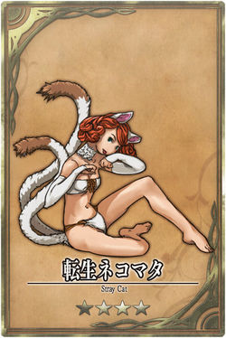 Stray Cat jp.jpg