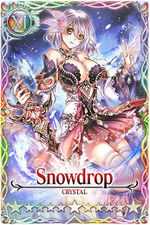 Snowdrop card.jpg