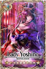 Lady Yoshino card.jpg