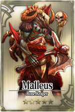 Malleus card.jpg