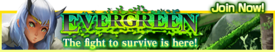 Evergreen release banner.png