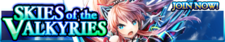 Skies of the Valkyries release banner.png