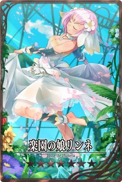 Plumeria m jp.jpg