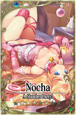 Nocha card.jpg