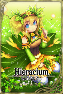 Hieracium card.jpg