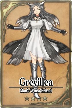 Grevillea card.jpg