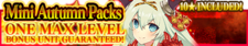 Mini Autumn Packs banner.png