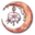 Rare Trinket (Tune) icon.png