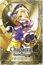 Chaparral card.jpg