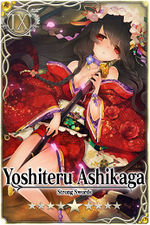 Yoshiteru Ashikaga 9 card.jpg