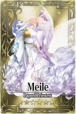 Meile card.jpg