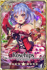 Rosehips card.jpg