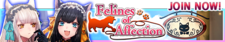 Felines of Affection release banner.png