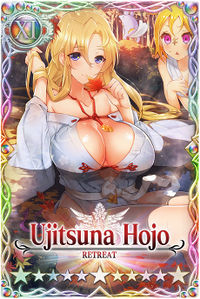 Ujitsuna Hojo card.jpg