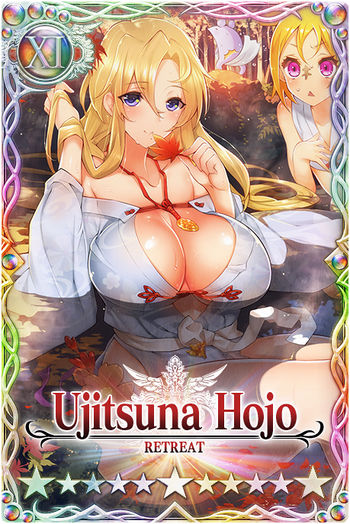 Ujitsuna Hojo card.jpg