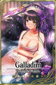 Galladim card.jpg