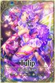 Tulip card.jpg