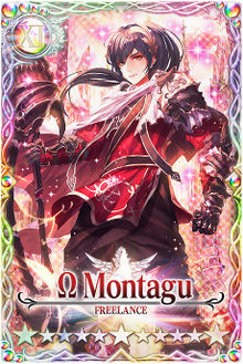 Montagu mlb card.jpg