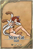 Stray Cat card.jpg