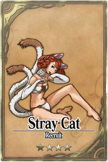 Stray Cat card.jpg