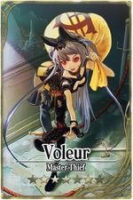 Voleur card.jpg