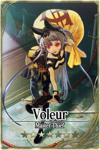 Voleur card.jpg