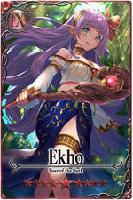 Ekho 9 m card.jpg