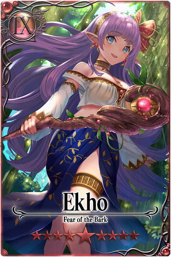 Ekho 9 m card.jpg