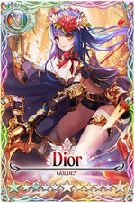 Dior card.jpg