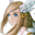 Zorya icon.png