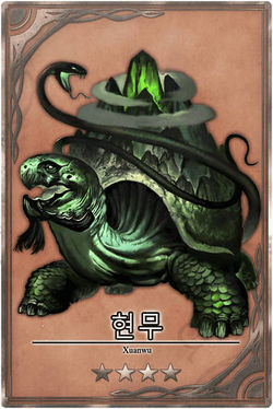 Black Tortoise m kr.jpg