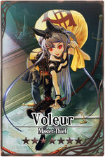 Voleur m card.jpg