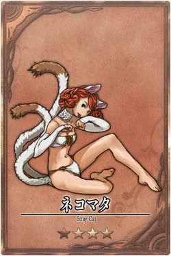 Stray Cat m jp.jpg