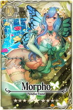 Morpho card.jpg