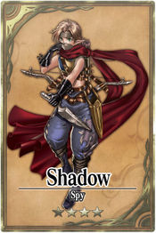 Shadow card.jpg