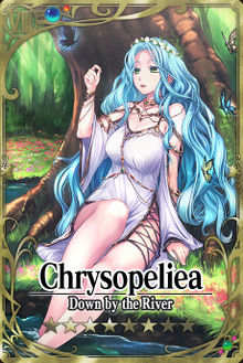Chrysopeliea card.jpg