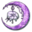 Rare Trinket icon.png