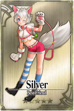 Silver card.jpg
