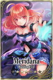 Meridana card.jpg